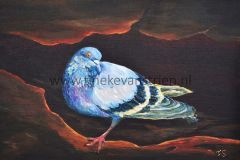 De Duif psalm 68 acryl op doek 30x40 95,,-