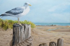 meeuw op strandpaal 40x40   45,-