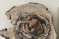 Eekhoorn kruipt uit de boom  50x45     45,-