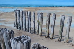 Dubbel rij palen Zoutelande 50x50  150,-