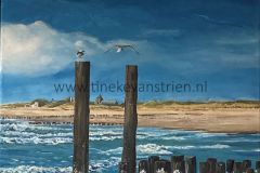 Paalzittende meeuw 50x50 acryl op linnen 150,-