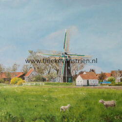 molen van Aagtekerke