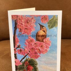 Vogel in de bloesem (kleiner formaat kaartje)